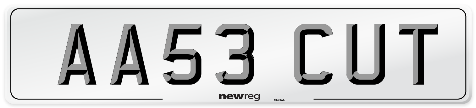 AA53 CUT Number Plate from New Reg